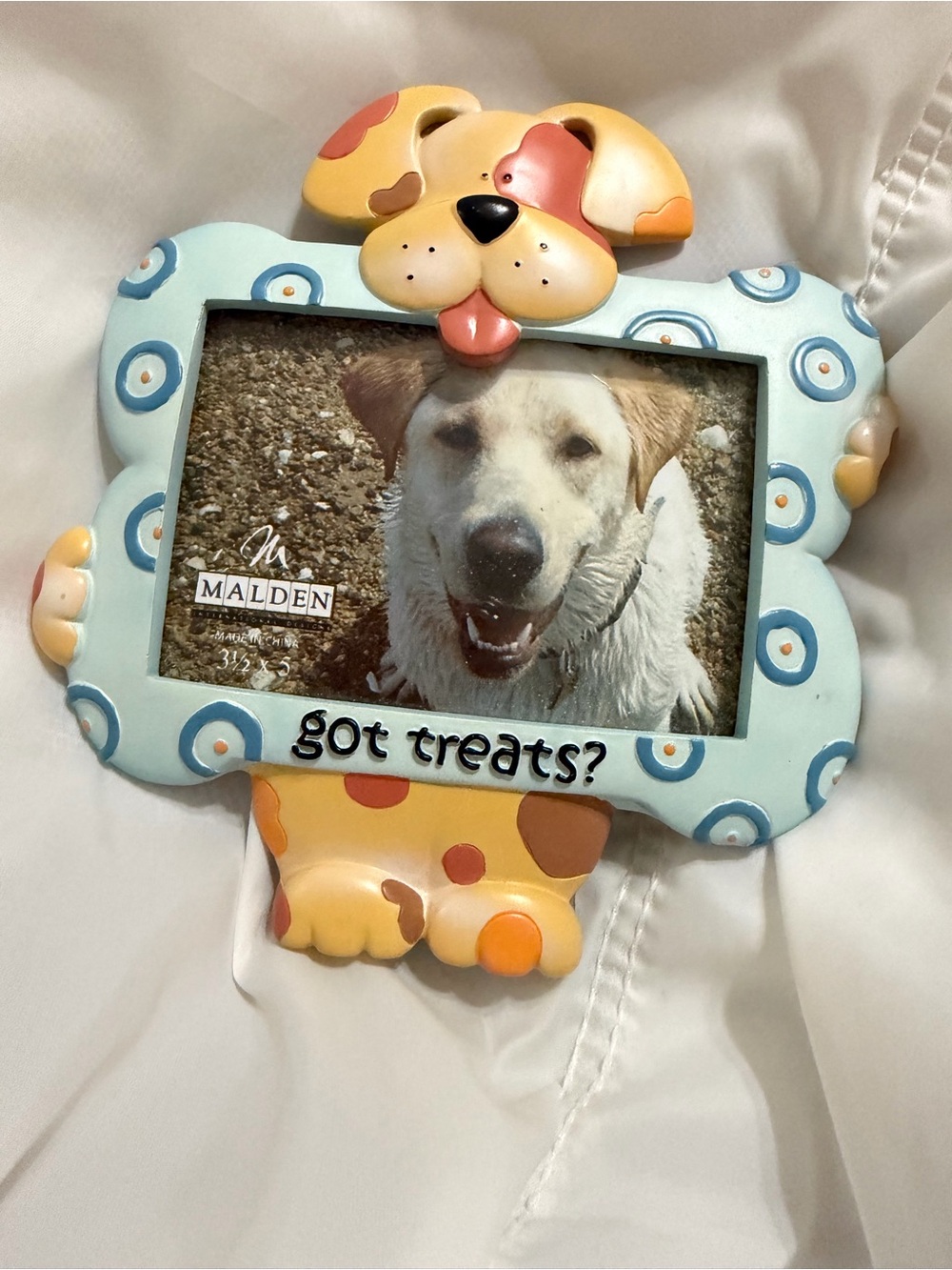 Malden Blue and Yellow Dog Picture Frame - 'got treats?'